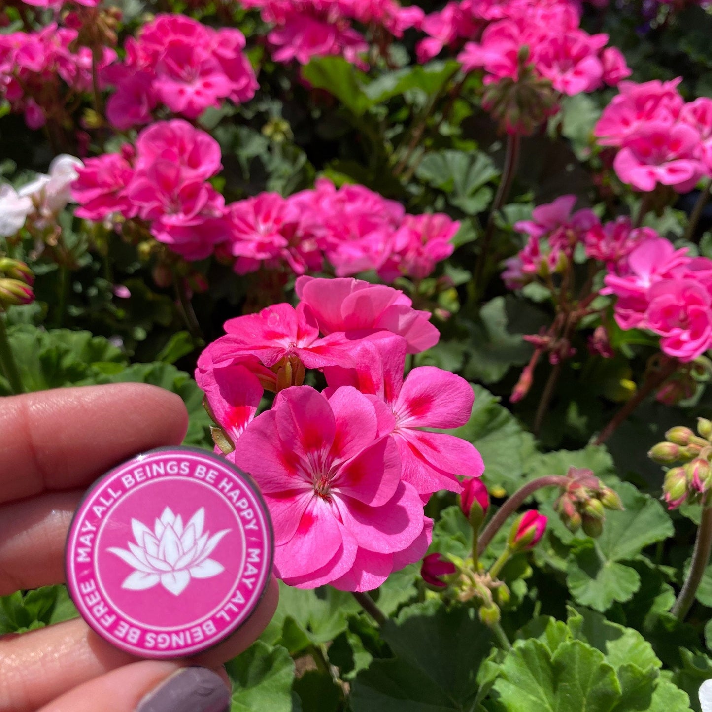 May All Beings Be Happy-May All Beings Be Free 1.25" Pink Round Button | Made in USA