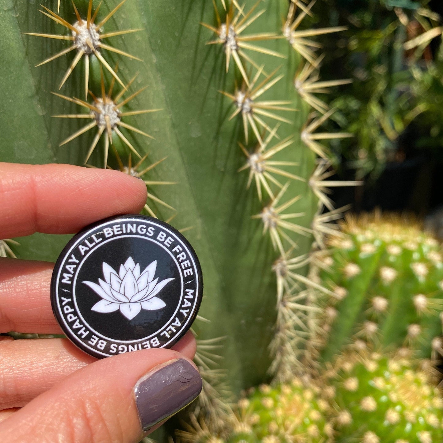 Person holding a black and white button with text, may all beings be free may all beings be happy, with a lotus flower design in front of cacti.