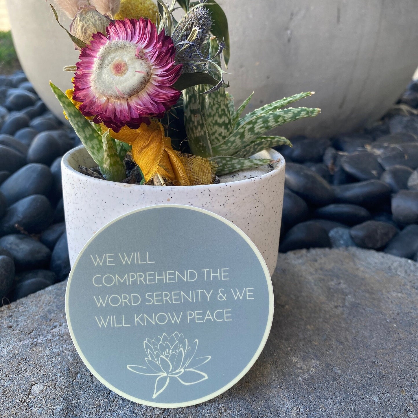Potted plant with a round teal sticker with, WE WILL COMPREHEND THE WORD SERENITY AND WE WILL KNOW PEACE, quote stone surface
