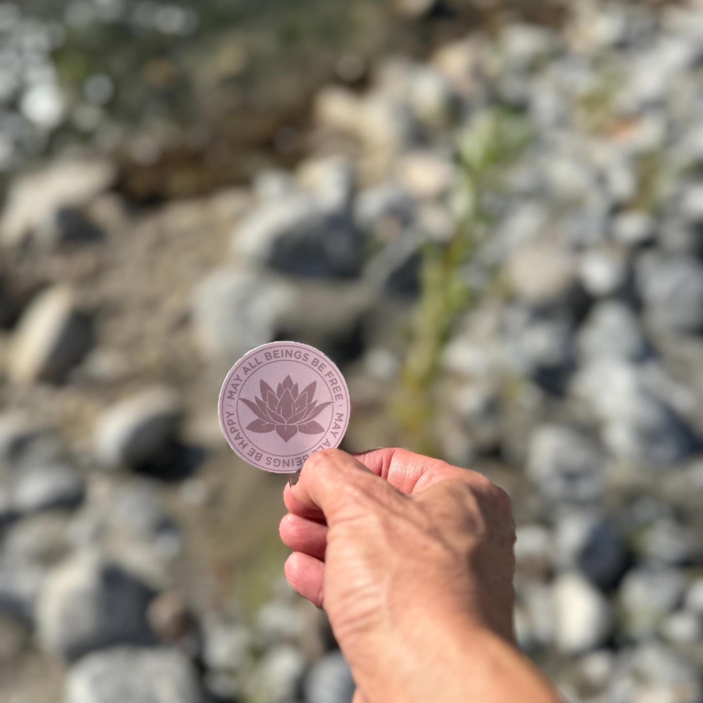 Hand holding a 2" circular pink Buddhist lotus flower sticker that reads, may all beings be free may all beings be happy, against a blurred natural background.