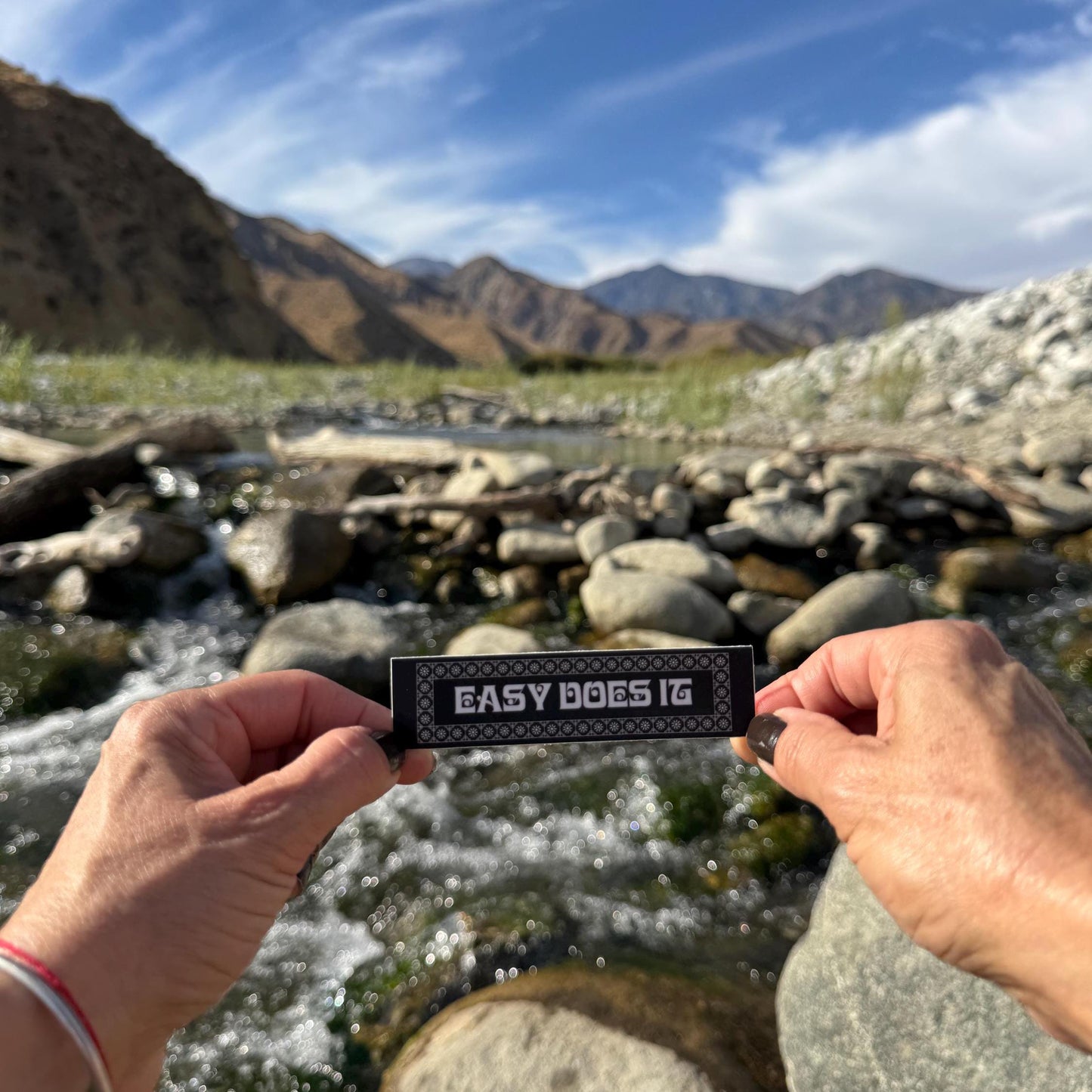 Person holding a 'Easy Does It' sign in front of a mountainous landscape with a stream.