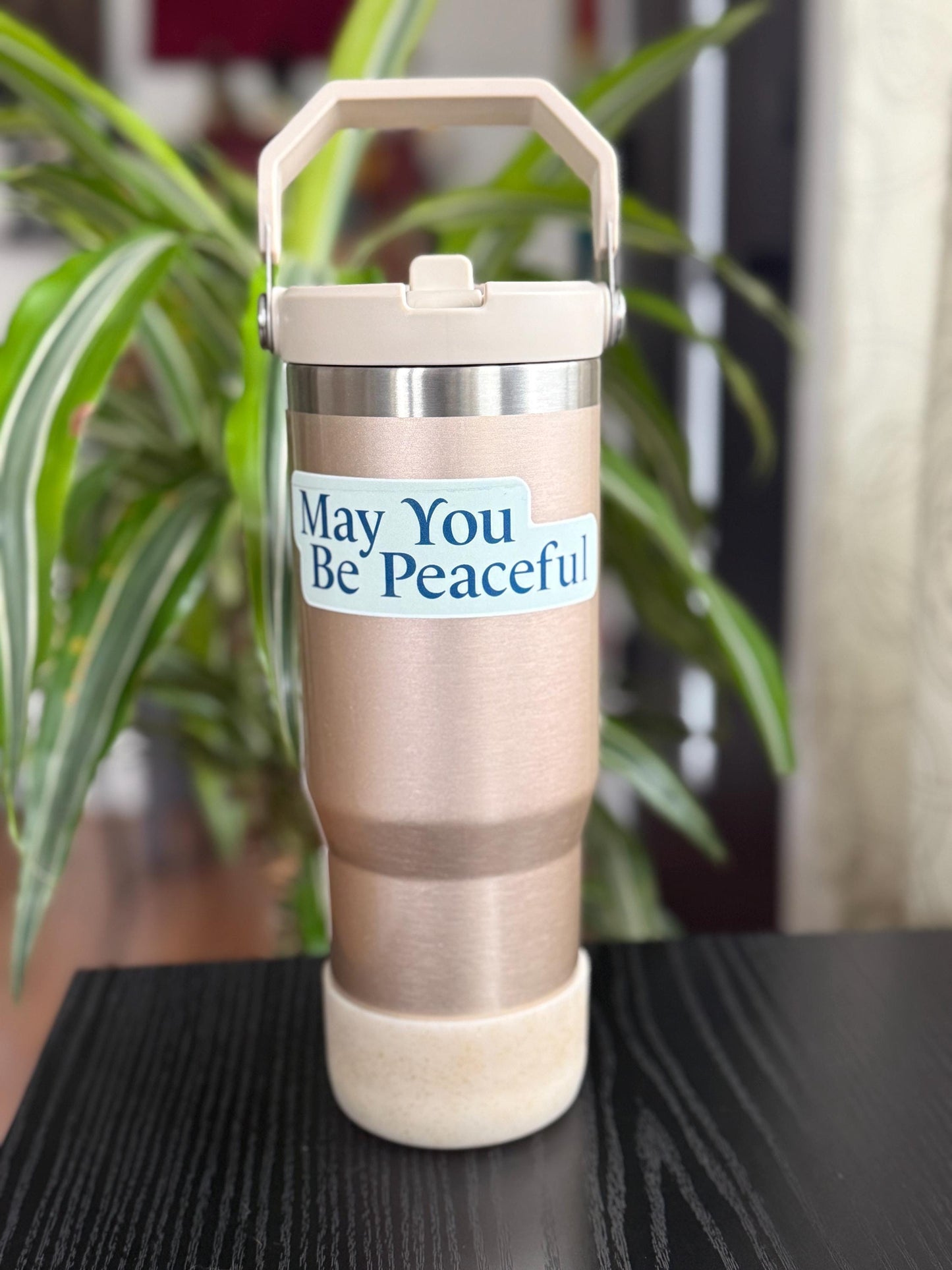 Tumbler with light blue and dark blue 'May You Be Peaceful' sticker on a reflective surface with a plant in the background.