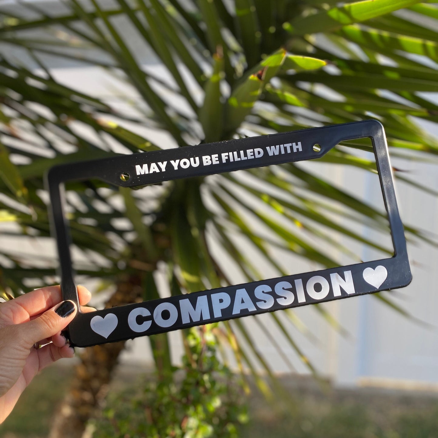 Black license plate frame with 'MAY YOU BE FILLED WITH COMPASSION' text held against a palm tree background.