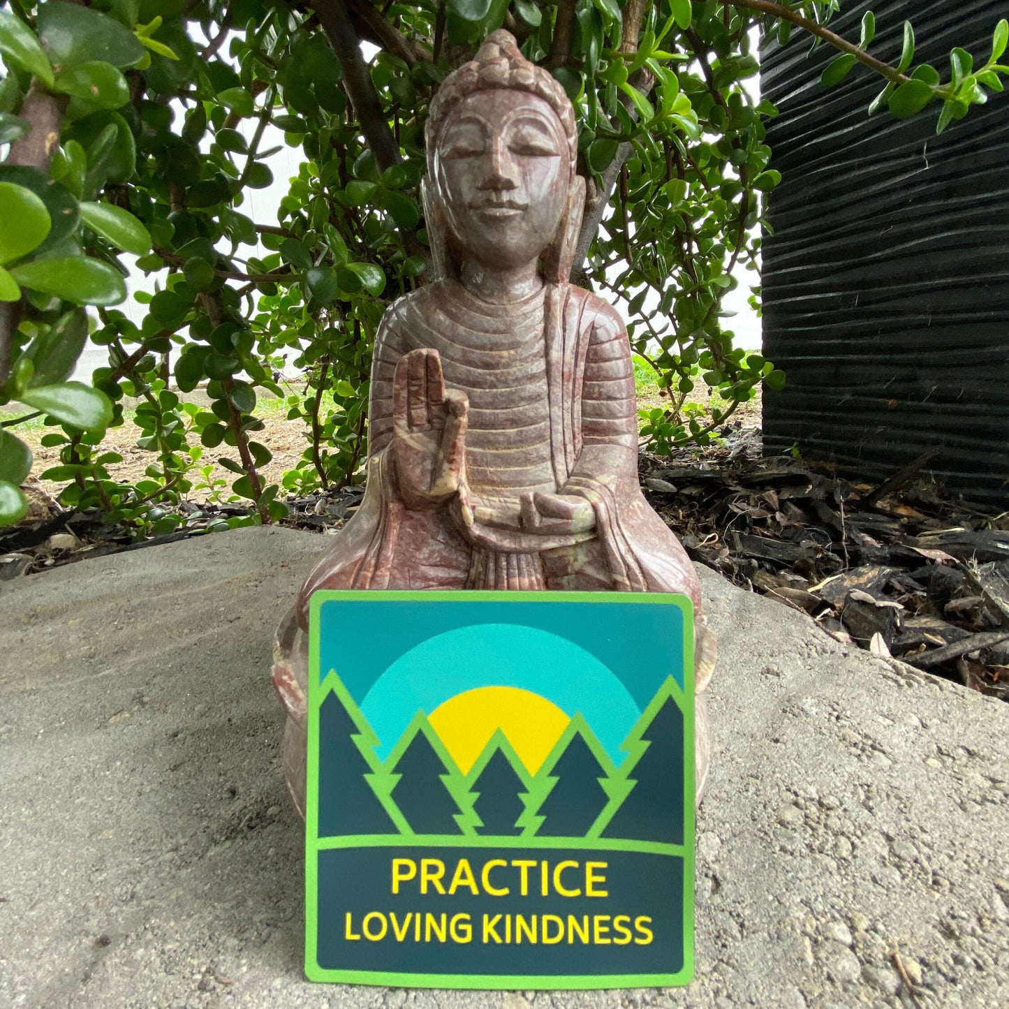 Statue of a Buddha with a 'Practice Loving Kindness' sign in front, surrounded by greenery.