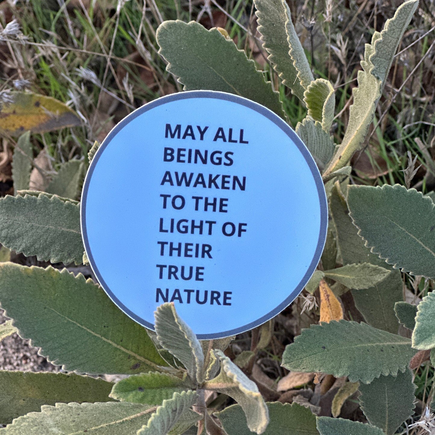 Blue circular sticker with the text, may all beings awaken to the light of their true nature.