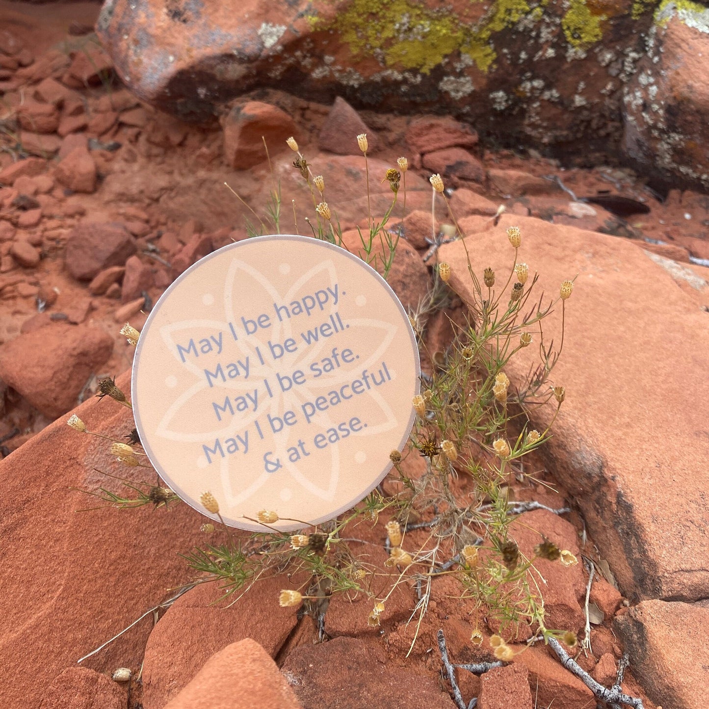 circular sticker with text, may i be happy may i be well may i be safe may i be peaceful may i be at ease, sitting on desert plant.
