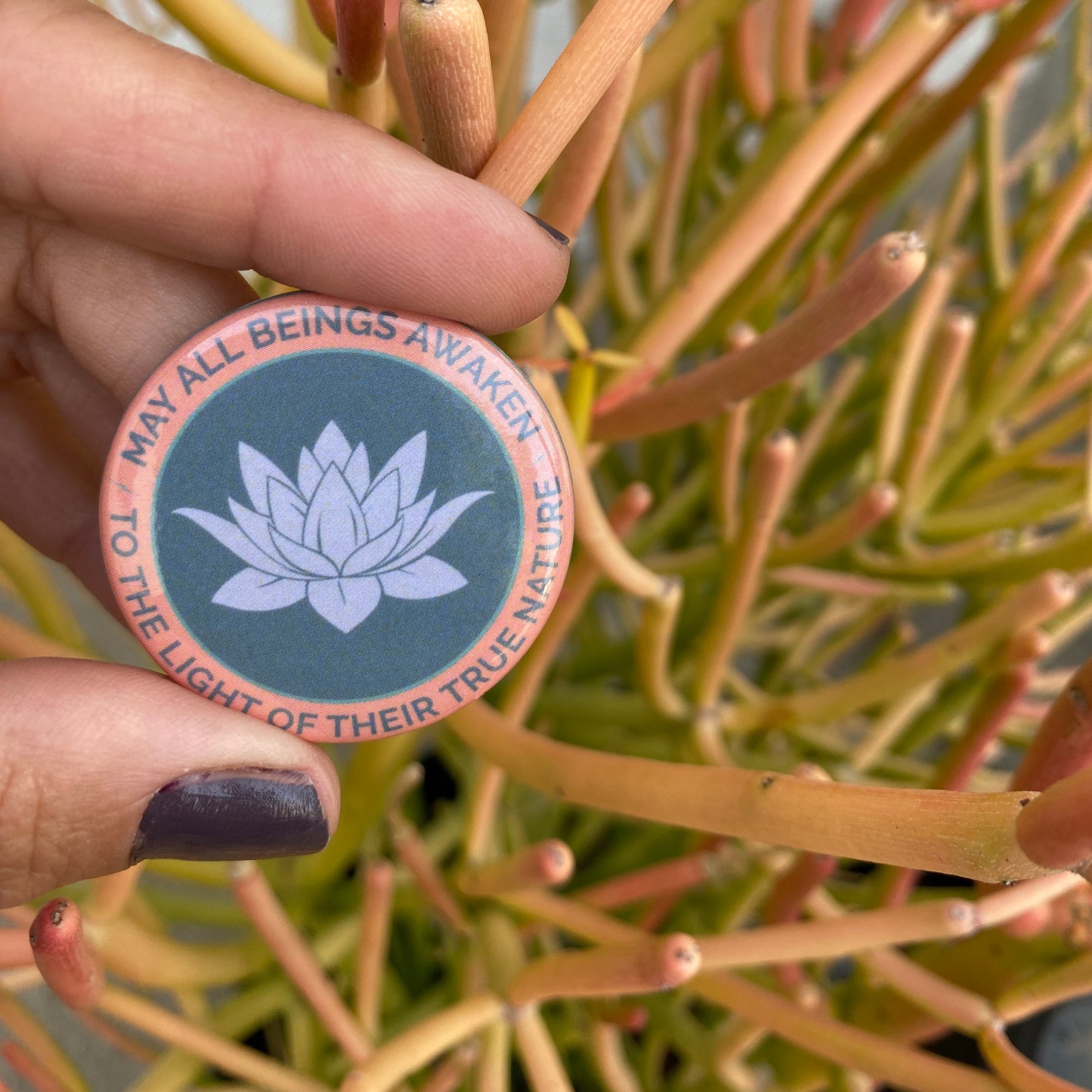 Person holding a circular button with a lotus flower design and text, may all beings awaken to the light of their true nature, against a succulent background.
