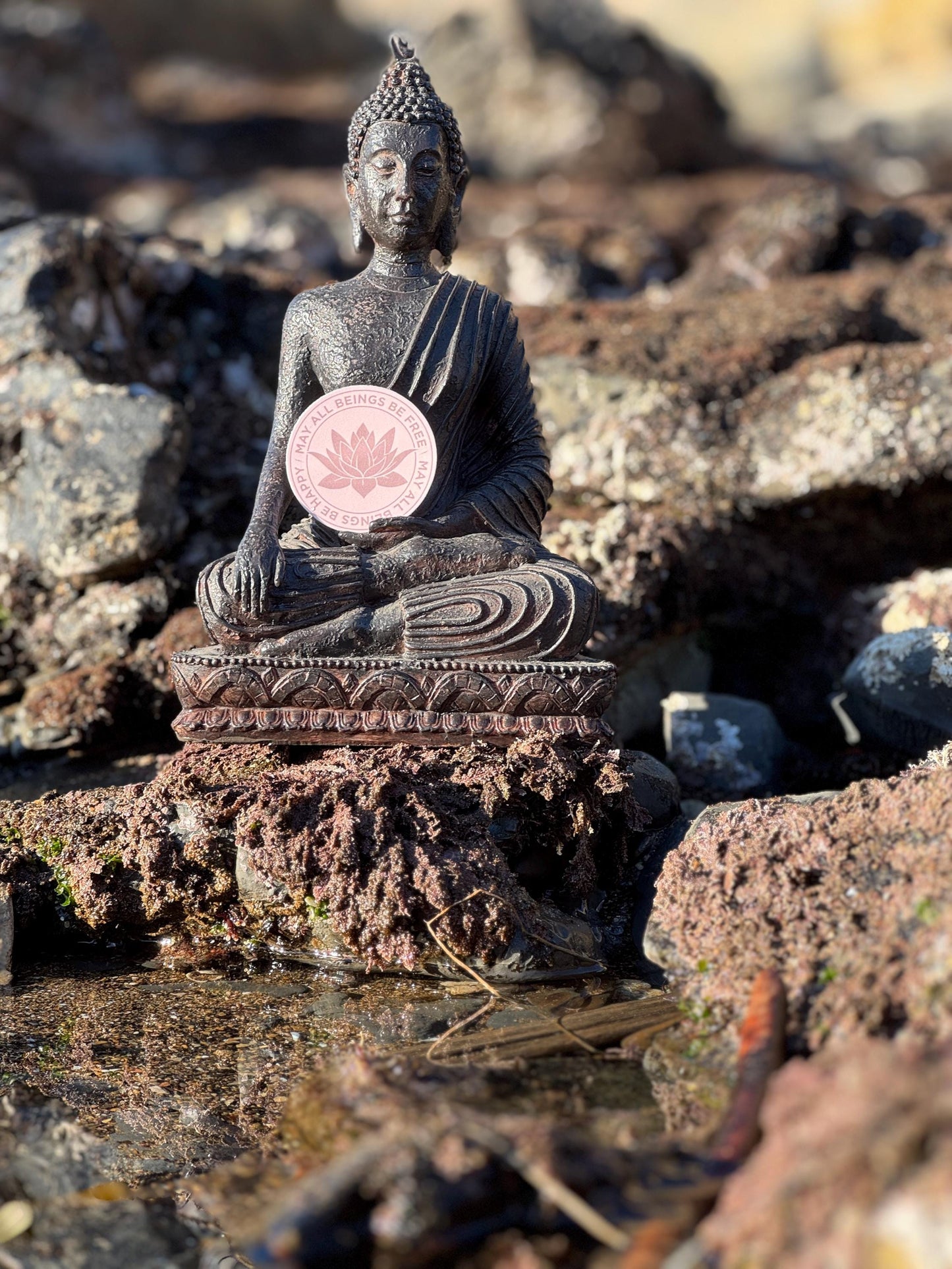 Buddha statue holding a 2" circular pink Buddhist lotus flower sticker that reads, may all beings be free may all beings be happy, on rocky terrain.