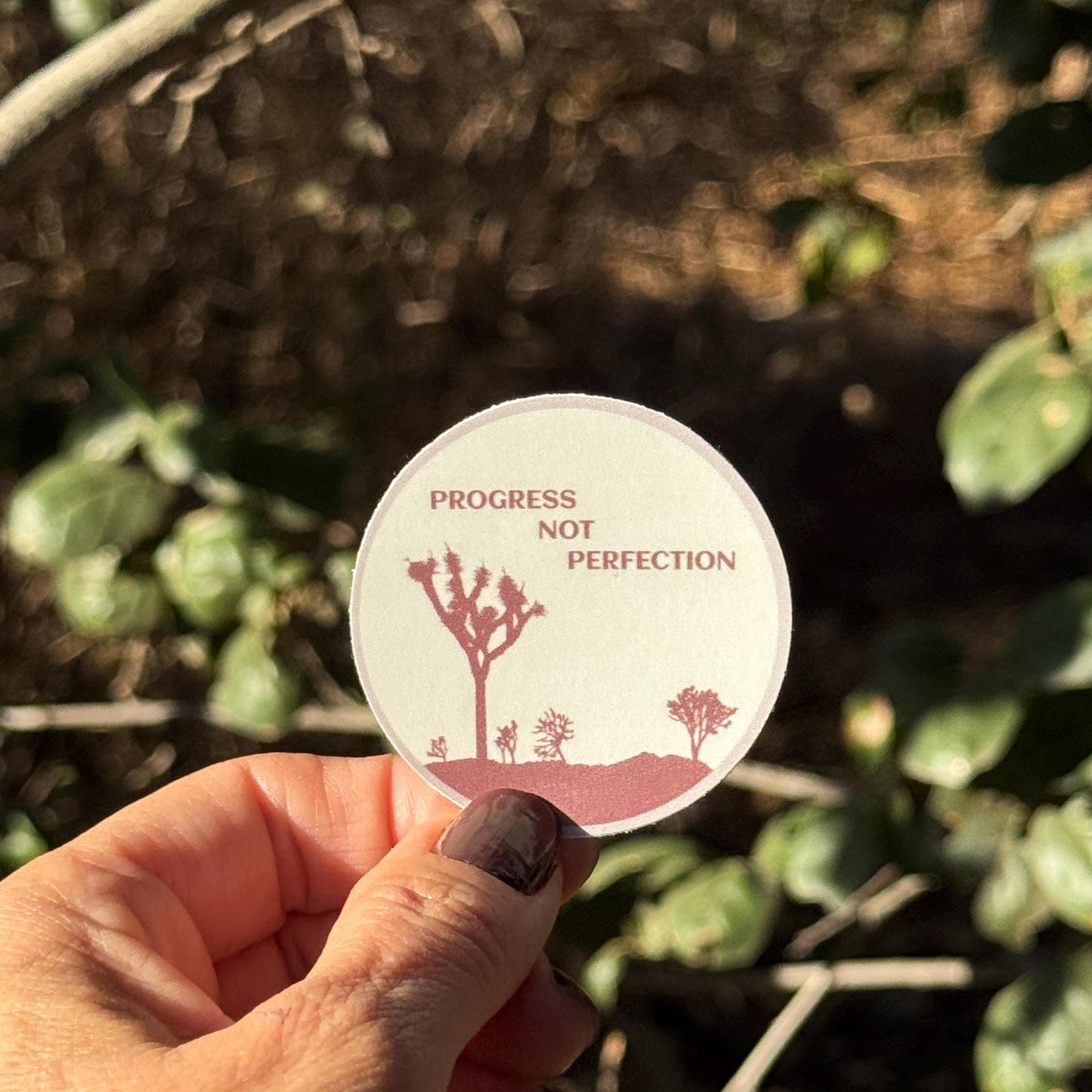 Hand holding a sticker with 'Progress Not Perfection' text against a natural background.