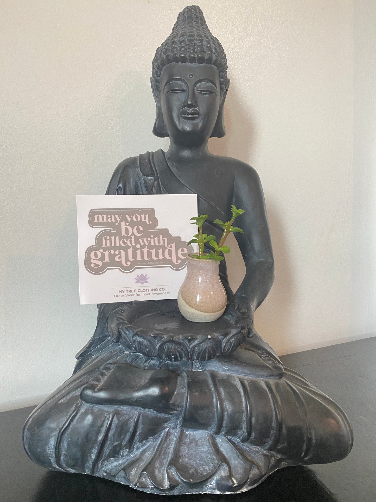 Buddha statue holding a small plant and a pink and brown sticker that reads, may you be filled with gratitude.