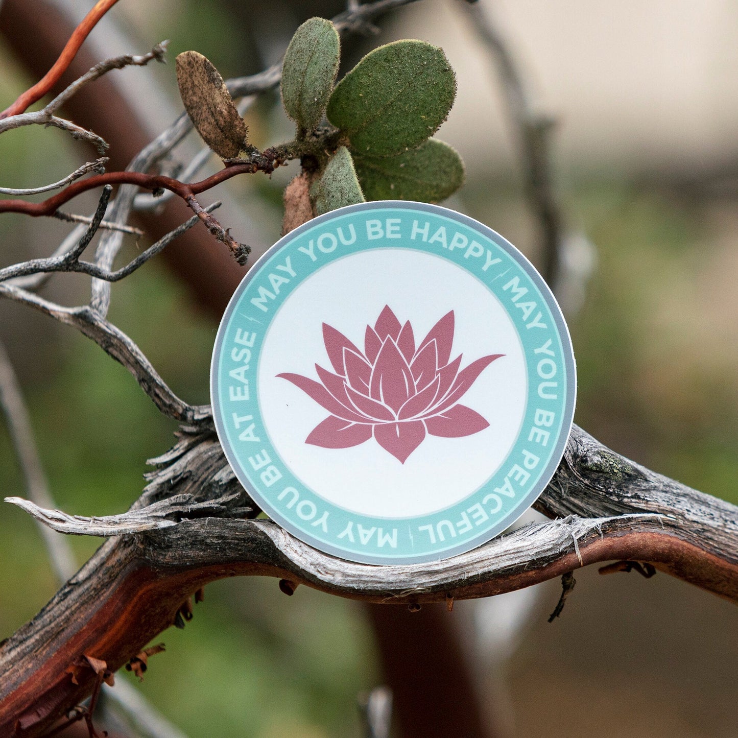 Circular sticker with pink lotus flower design and text, "may you be happy may you be peaceful may you be free", on a branch.