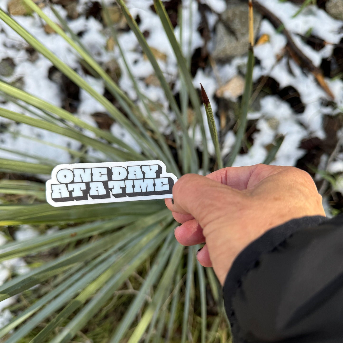 Hand holding a 'One Day at a Time' sticker in front of a plant with snow on the ground.