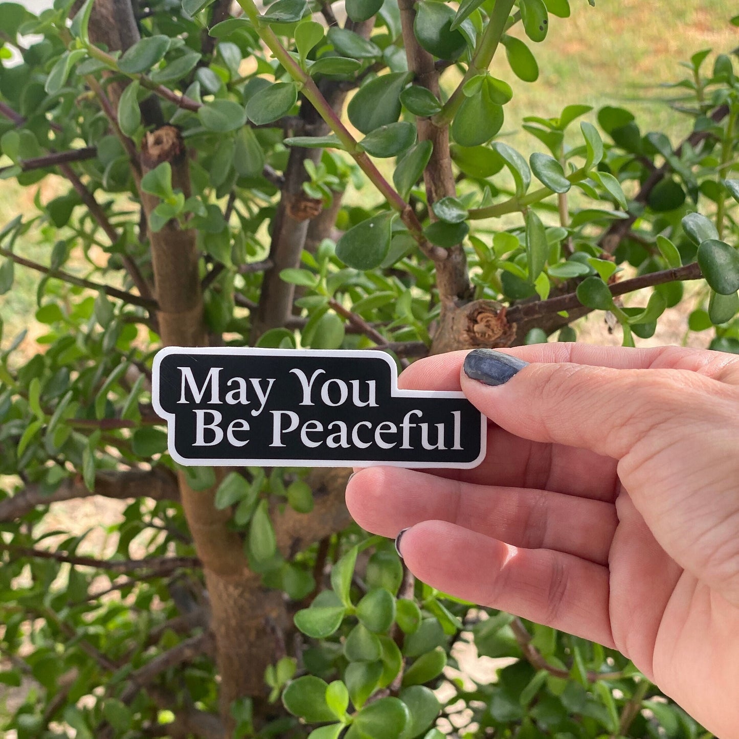 Hand holding a black and white metta inspired Buddhist mantra sticker that reads 'May You Be Peaceful' in front of green foliage.