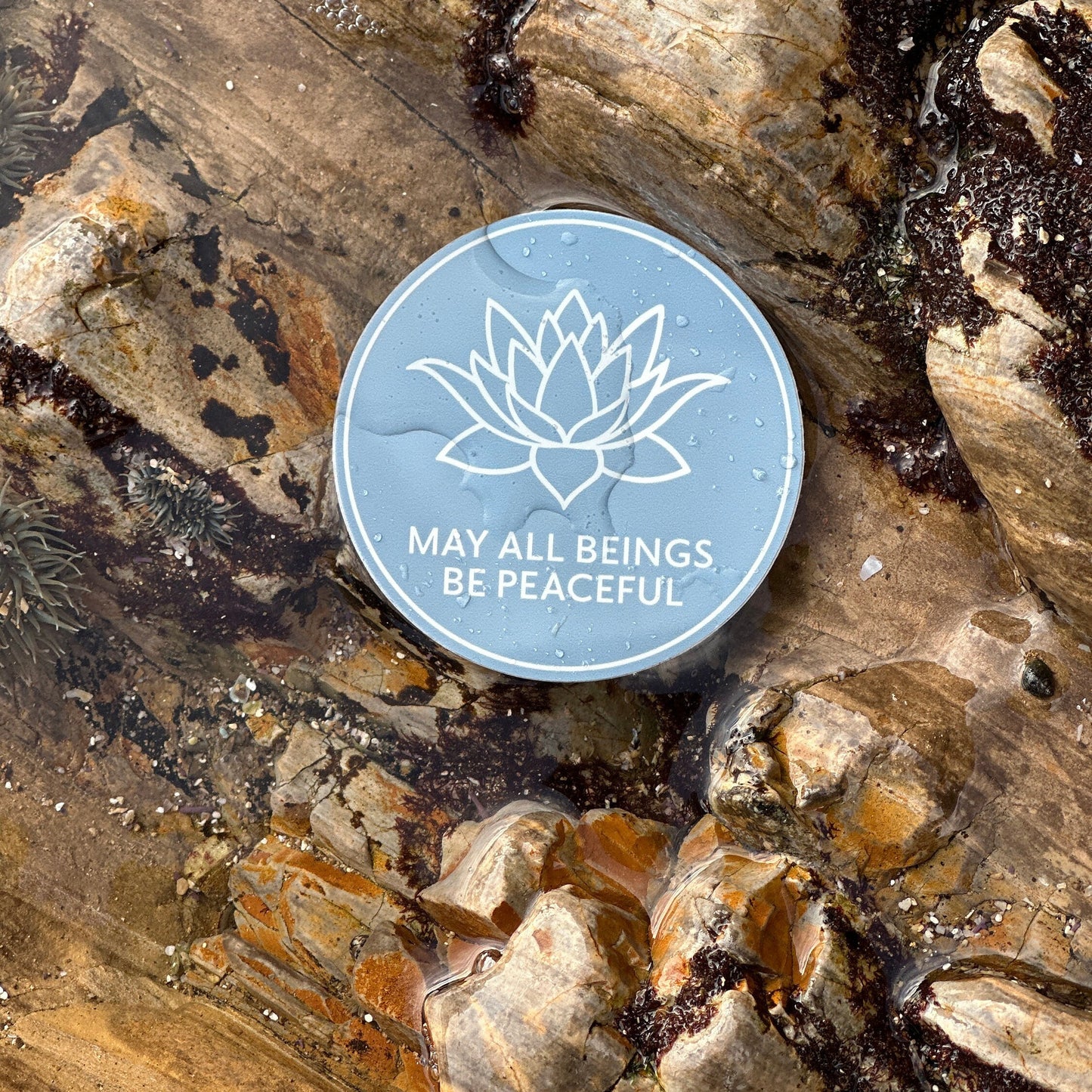 Round 3" blue sticker with a lotus flower design and text, MAY ALL BEINGS BE PEACEFUL.