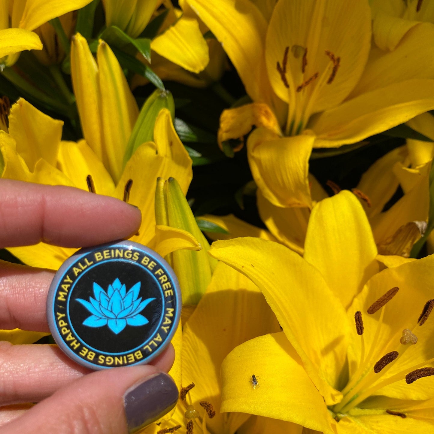 Person holding a 1.25" black and blue lotus button with the Buddhist prayer, may all beings be free may all beings be happy, surrounded by yellow flowers.