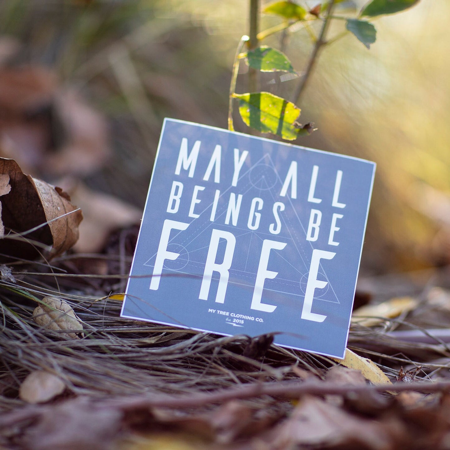 5" square grey sticker with 'May all beings be free' text with sacred geometry design on a natural background.