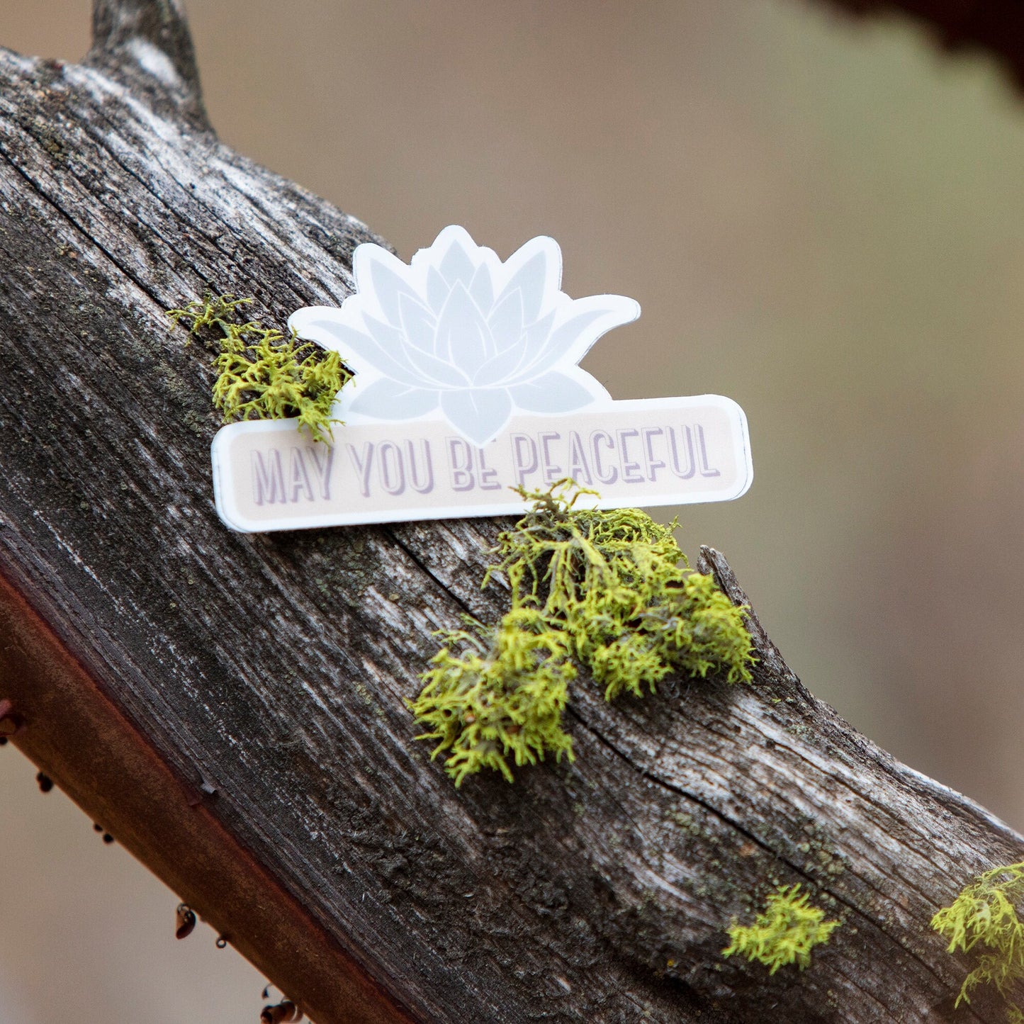 Pale lavender lotus design die cut vinyl sticker with the text, may you be peaceful, on a wooden branch with moss.