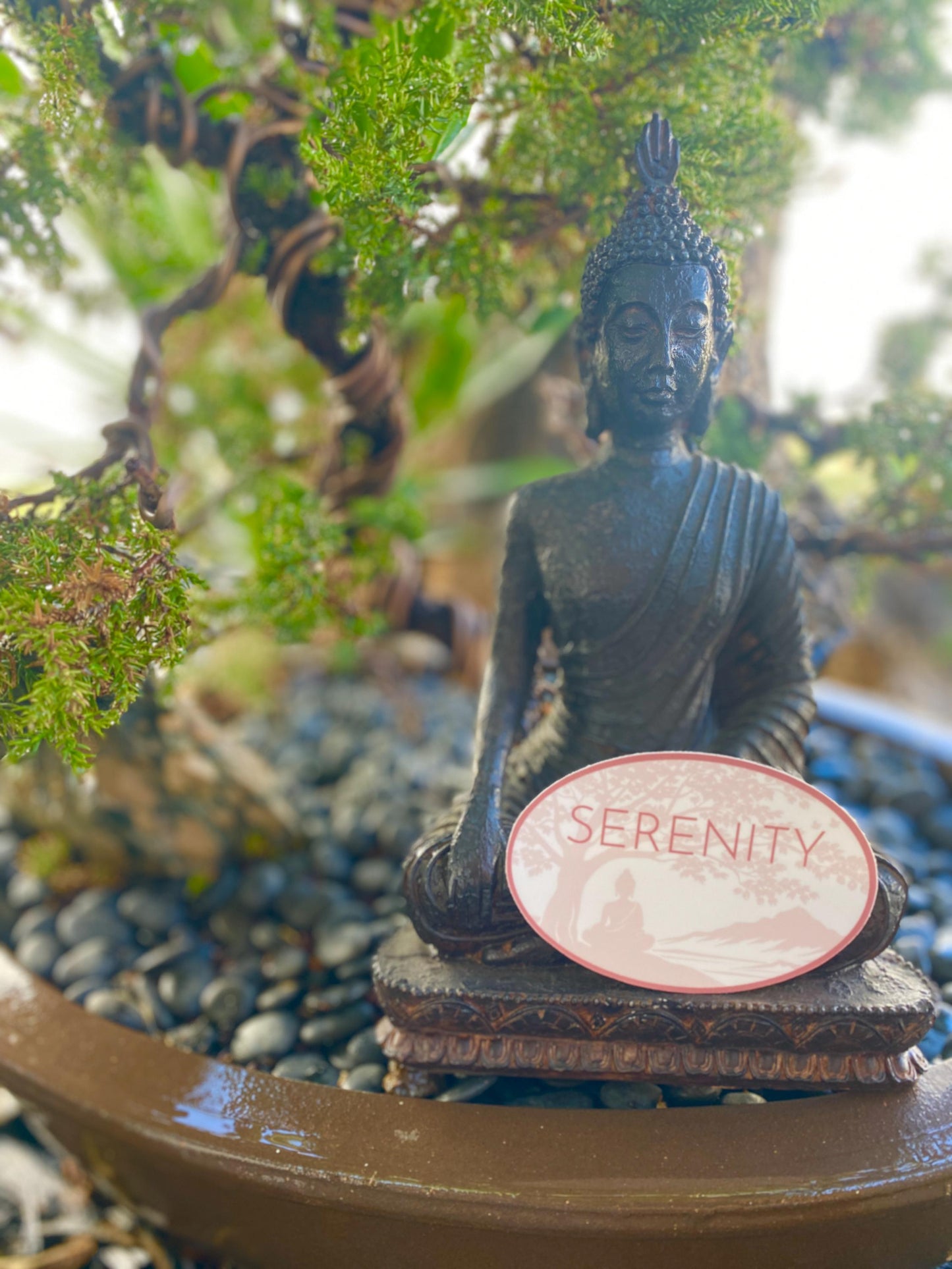 Buddha statue with 'Serenity' sticker in a natural setting