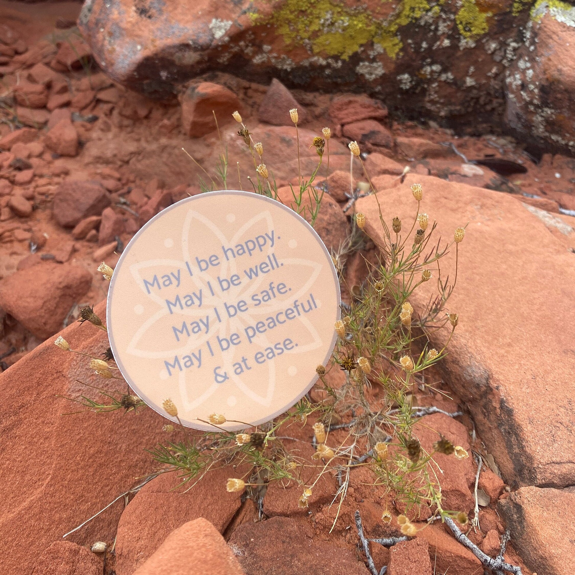 circular sticker with text, may i be happy may i be well may i be safe may i be peaceful may i be at ease, sitting on desert plant.