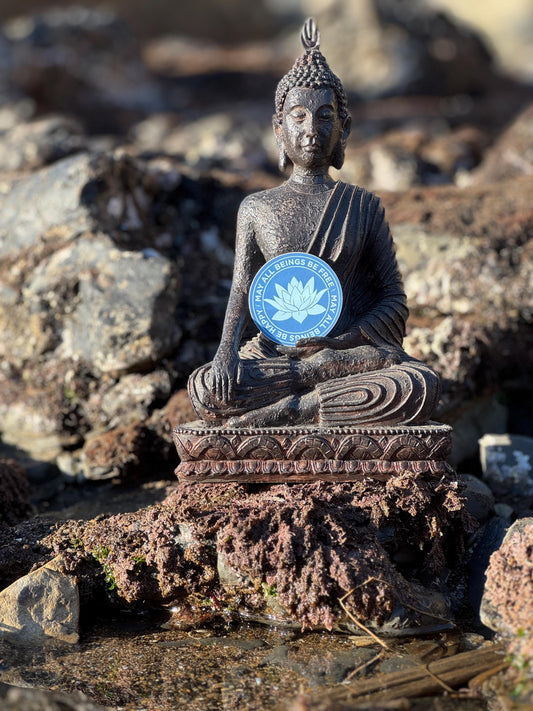Statue of a meditating Buddha on rocky terrain with a Buddhist meditation sticker in a gorgeous blue with a lotus flower design and the text, 'may all beings be free may all beings be happy.'